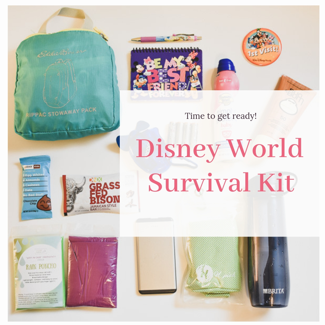 disney survival kit