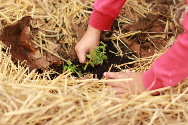 healthy kids can help plant a garden