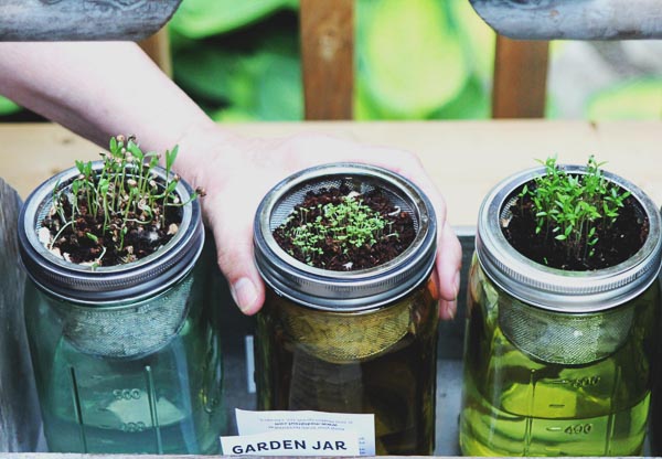 healthy kids start a garden