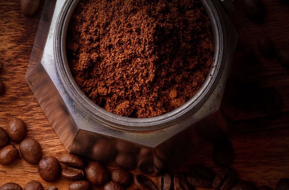 cocoa powder