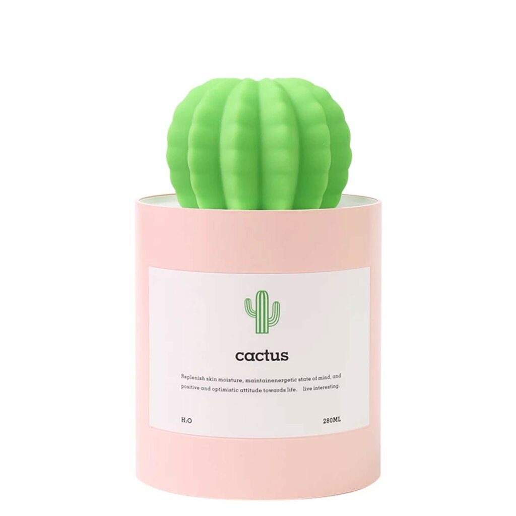 cactus humidifier