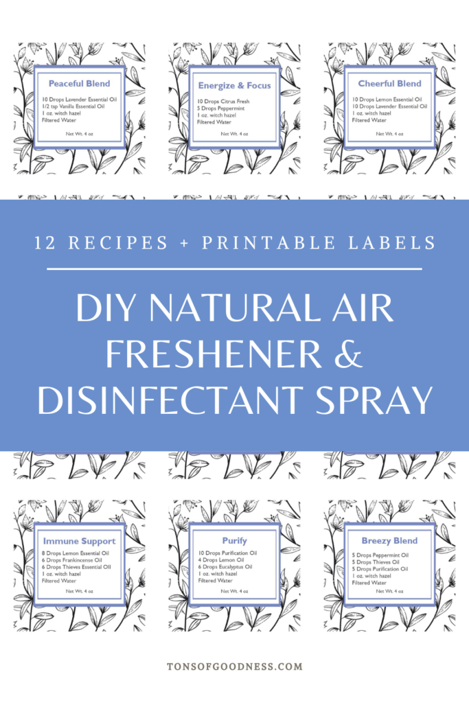 diy natural air freshener recipes