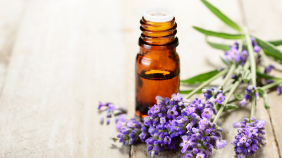 lavender essential oil