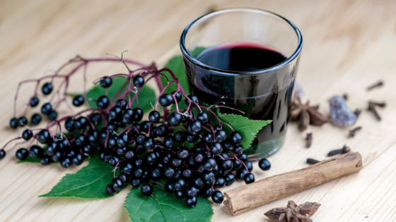 elderberries - a food that may boost immunity