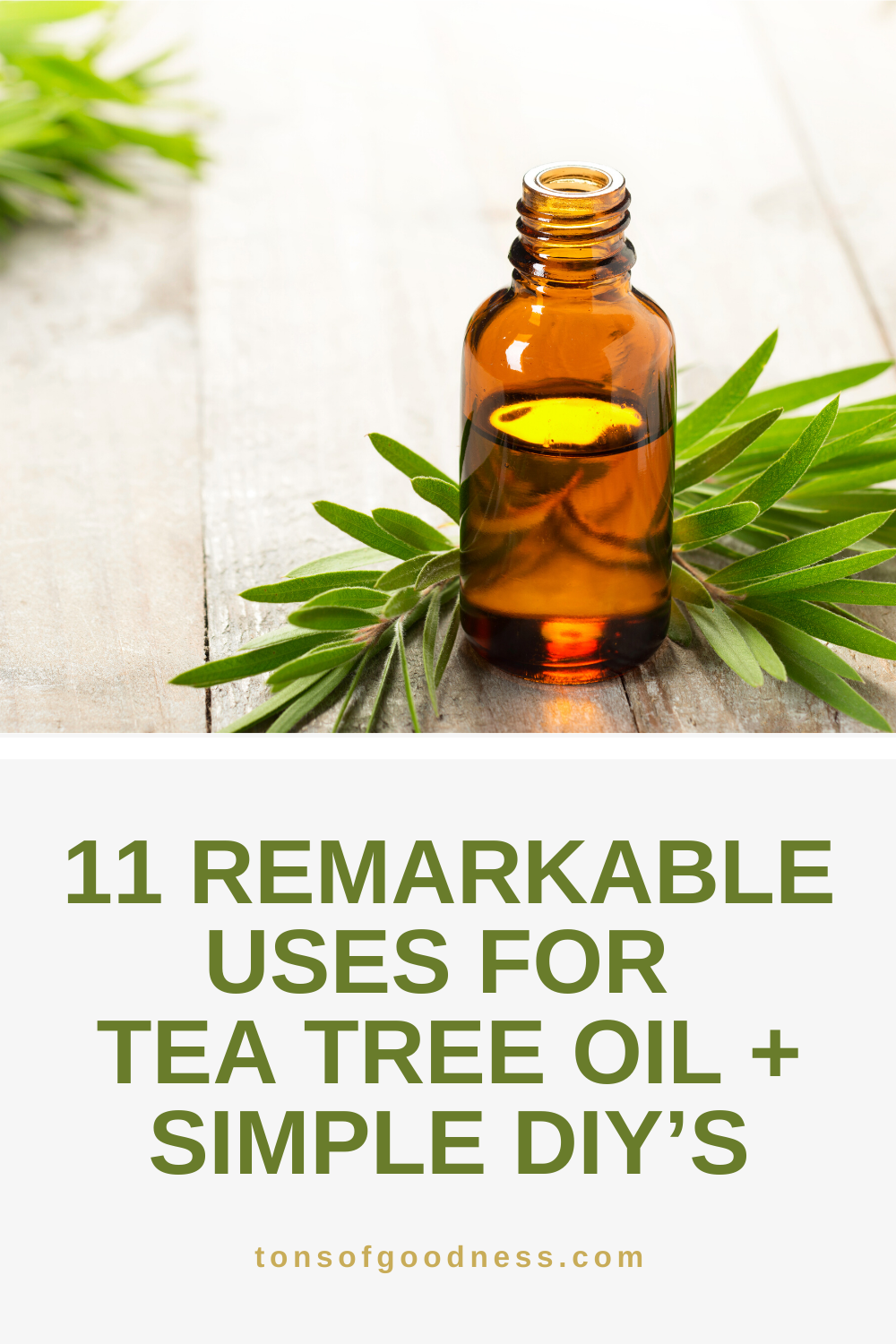 11 Remarkable Uses For Tea Tree Oil And Simple DIY S   11 Remarkable Uses For Tea Tree Oil And Simple DIY’s 