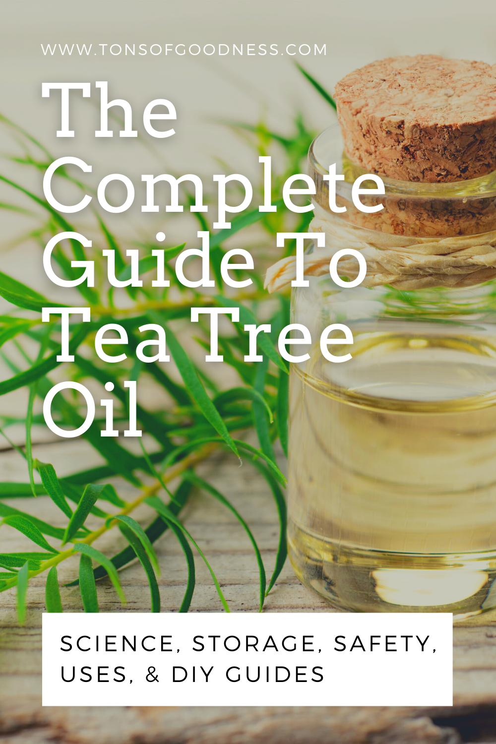 11 Remarkable Uses For Tea Tree Oil and Simple DIY's