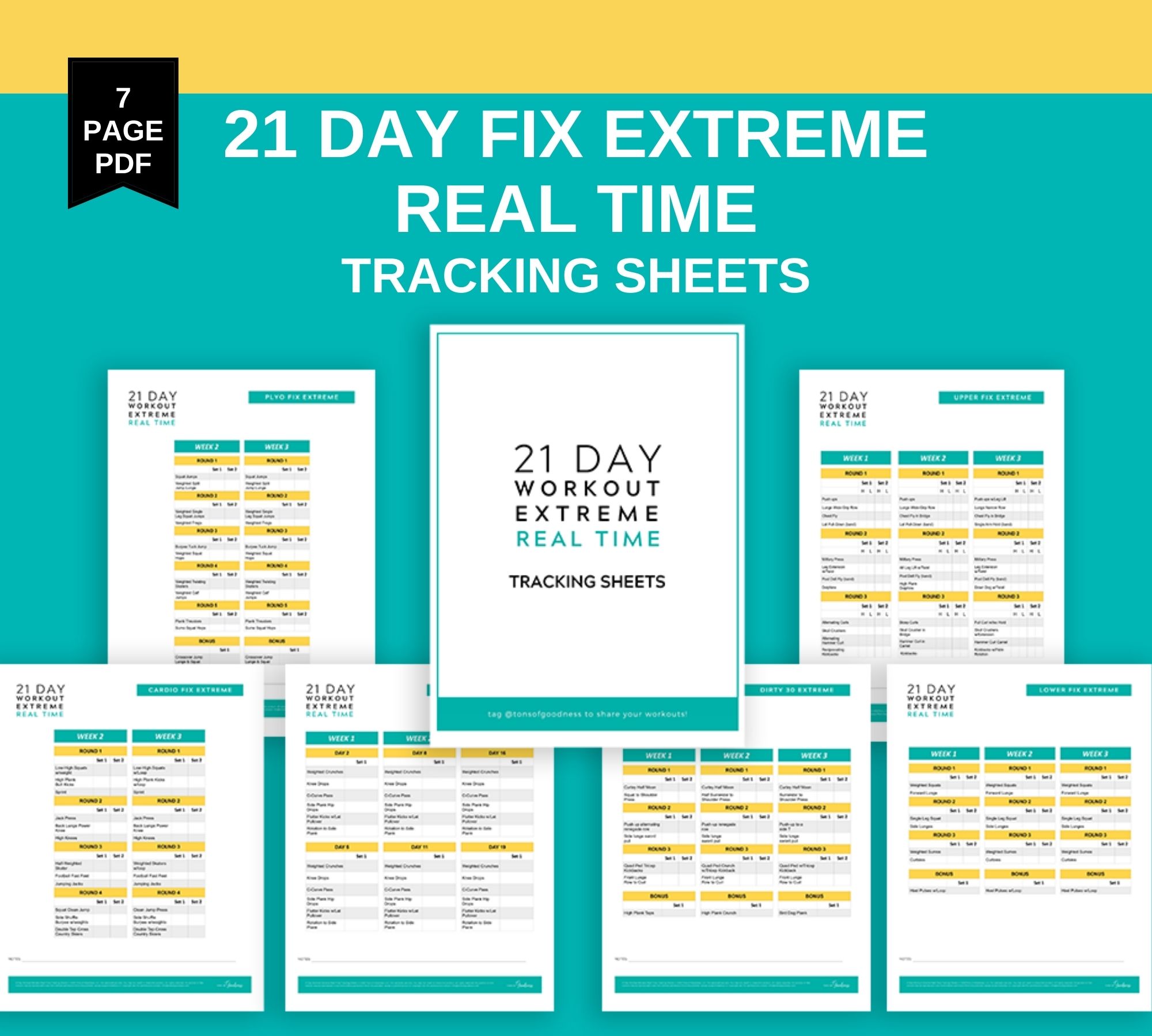 21 Day Fix EXTREME Real Time Printable Tracking Sheets