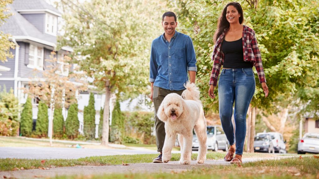 A young couple walking their dog.