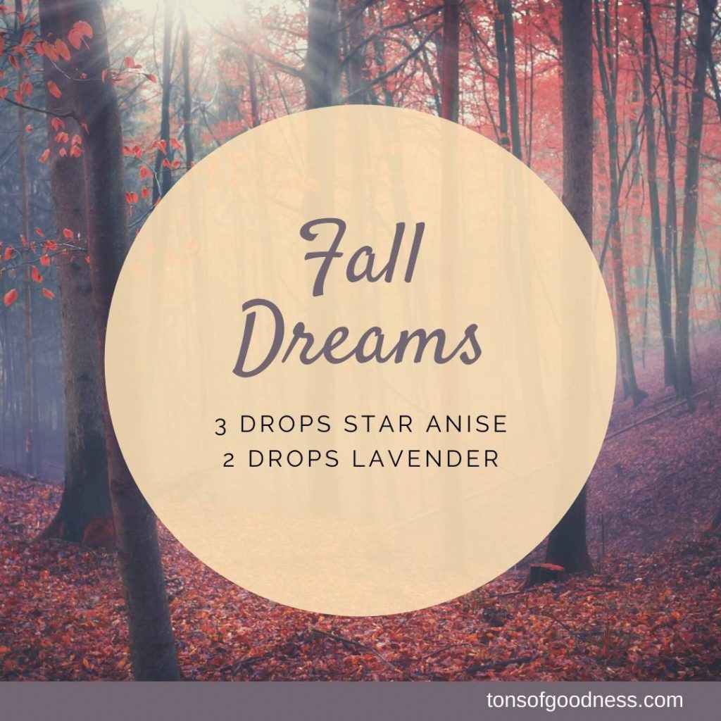 fall dreams essential oil blend with star anise and lavender