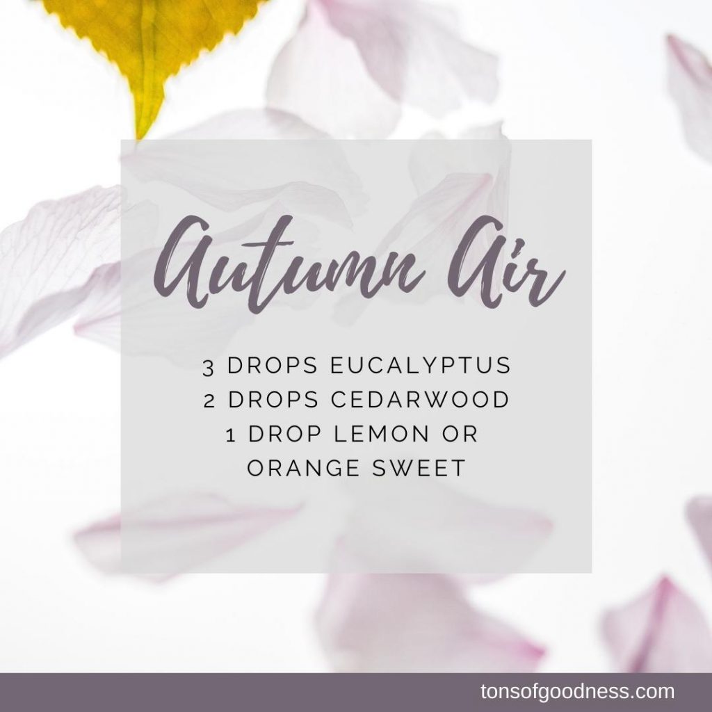 Autumn Air essential oil recipe with eucalyptus, cedarwood, and orange sweet